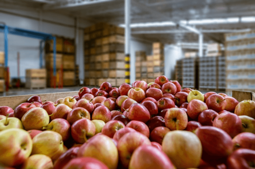 Dry storage warehouse, frozen food storage, & ambient food storage solutions.