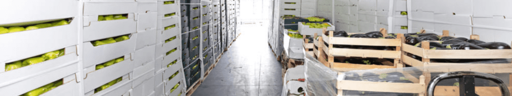 Cold storage & frozen warehousing services