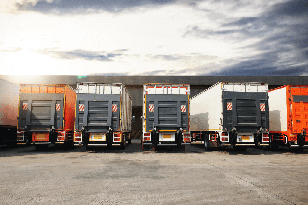 Learn how OLIMP Warehouse adapts cross docking to different business models