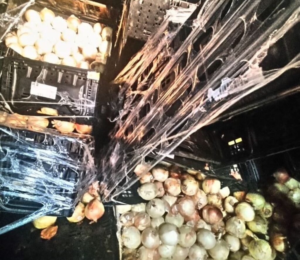 Our pallet rework services at OLIMP Warehousing ensure better space utilization and reduce product damage risks