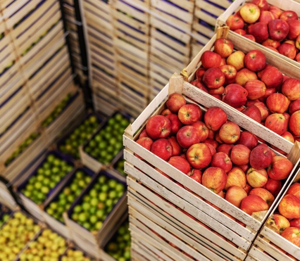 OLIMP Warehousing offers frozen and food grade storage facilities designed to preserve the quality and safety of your food products, ensuring efficient logistics and market delivery.