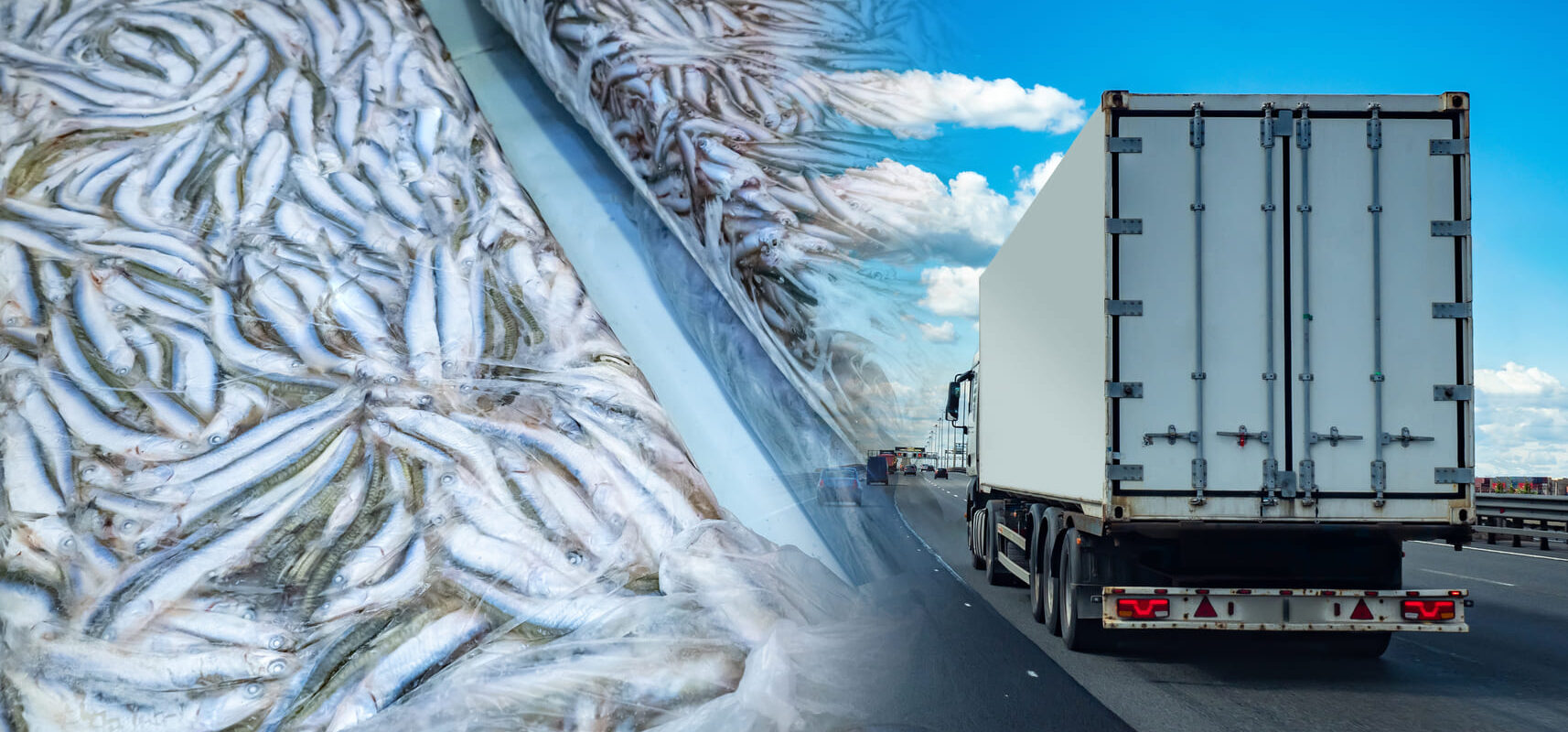 Refrigerated truck shipping perishable goods on a highway to maintain cold chain integrity.”