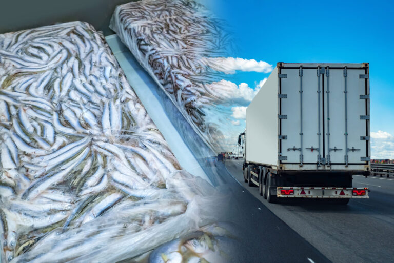 Refrigerated truck shipping perishable goods on a highway to maintain cold chain integrity.”
