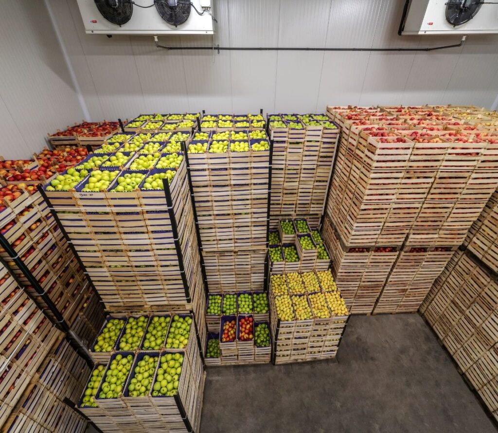 Whether you need cold storage, general warehousing, or hazmat storage, OLIMP offers expert solutions to enhance your operations and maintain product quality.