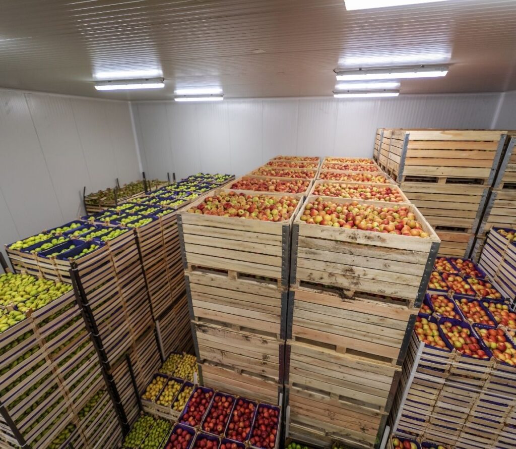 Explore how OLIMP Warehousing can offer tailored food warehousing and frozen warehouse solutions to meet your business’s needs.