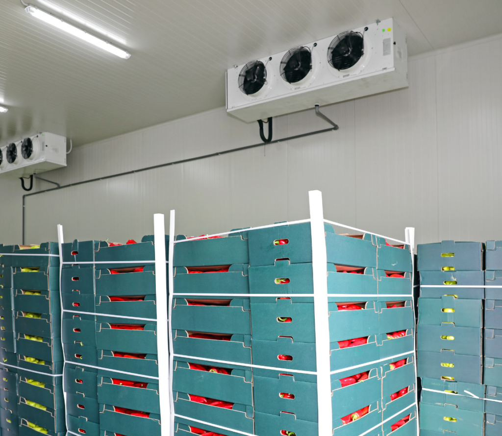 From food storage to temperature control and real-time tracking, OLIMP provides complete logistics solutions tailored to your business.