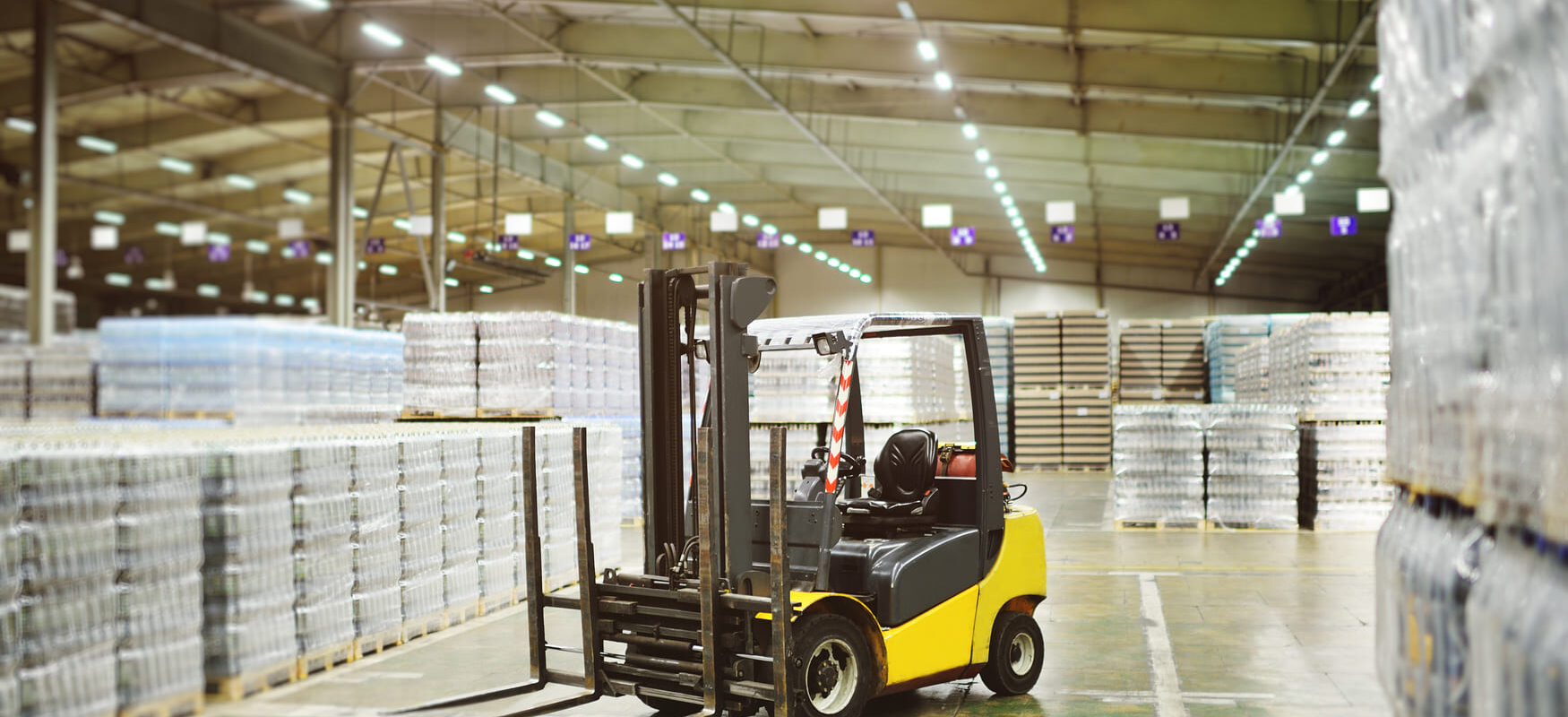 Temperature-controlled food warehouse with organized pallet racks of packaged goods
