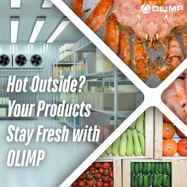 Cold storage warehouse maintaining frozen goods during peak summer heat with OLIMP’s reliable temperature-controlled facilities