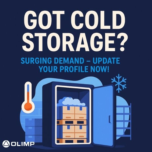 Temperature-controlled warehouse with cold storage racks ready for high-demand frozen goods.