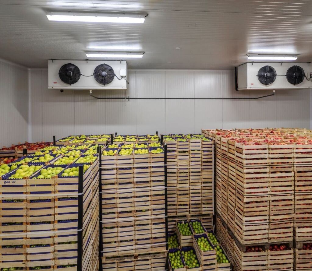 Cold storage warehouse keeping products safe under temperature-controlled conditions