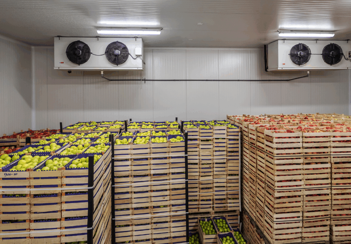 Shipping perishable and non-perishable products with proper storage and logistics solutions